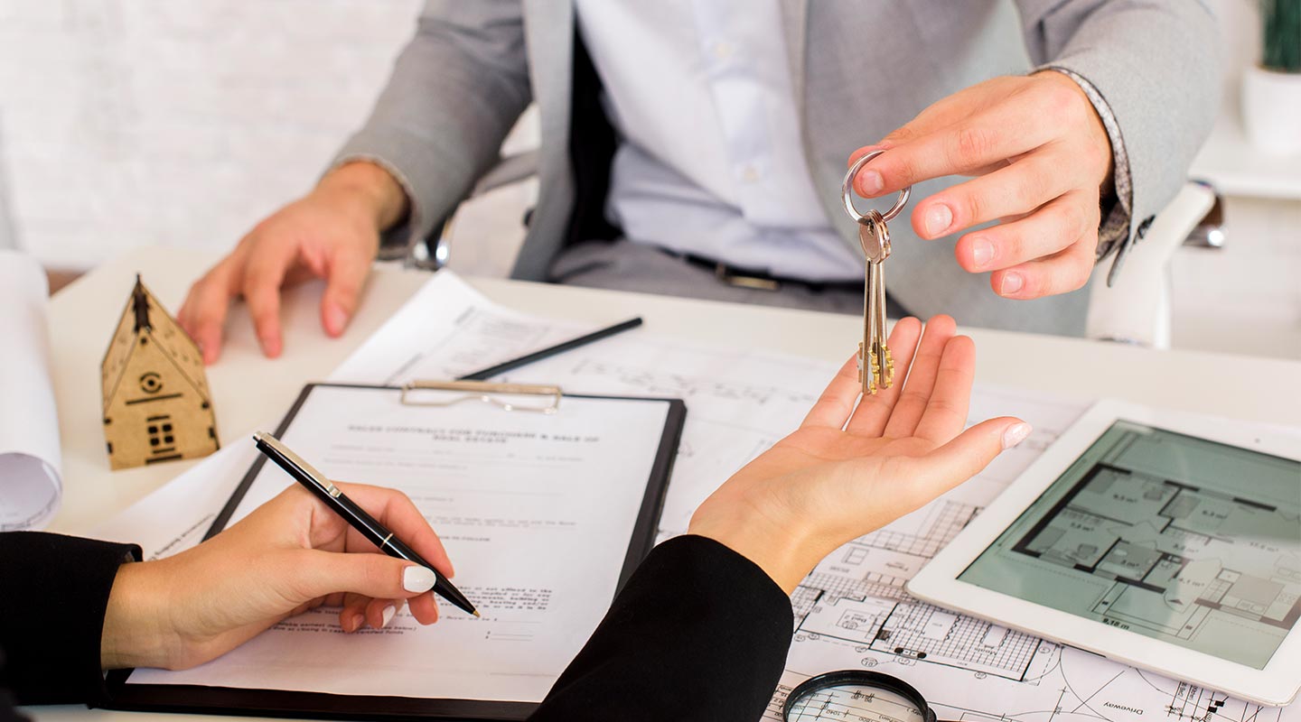 קבוצת מילר ייעוץ והשקעות | בית השקעות לנדל"ן